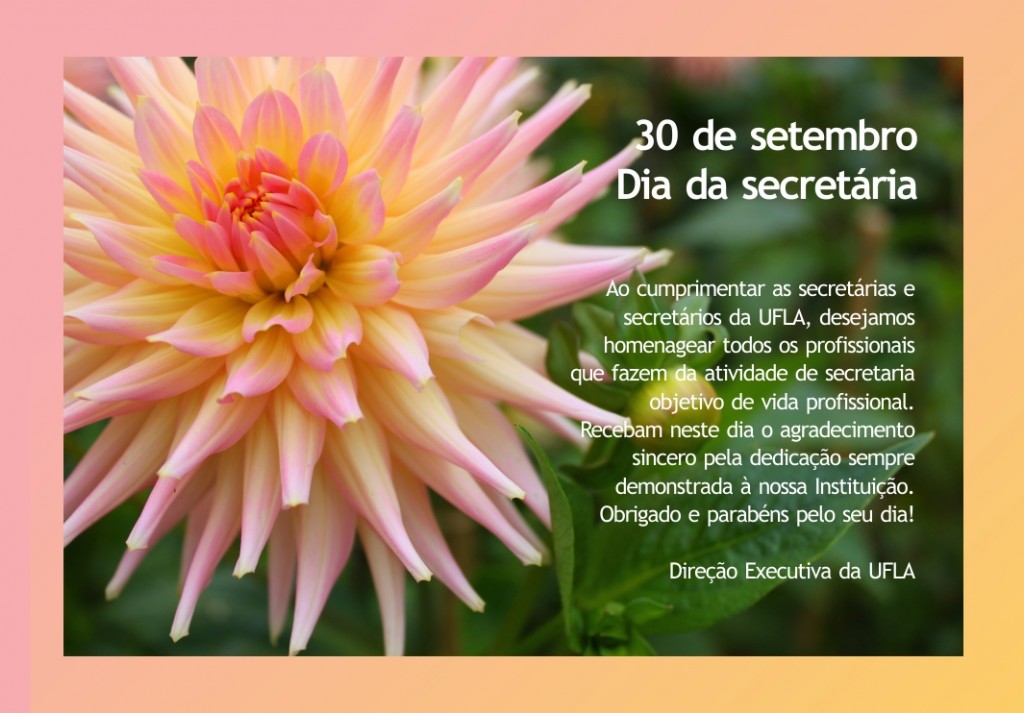 Dia da Secretaria Cartao