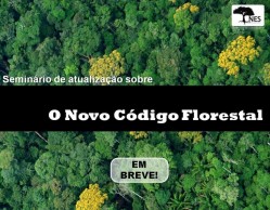 07.06 código florestal
