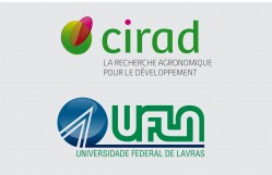10.06 Logos Cirad e UFLA