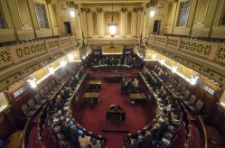 Grande Júri do Prêmio Fundação Bunge