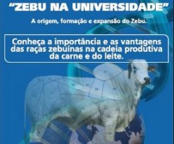 06.08 zebu na universidade