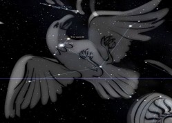 constelação águia