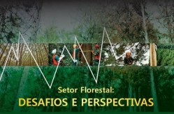 desafios-perspectivas-setor-florestal