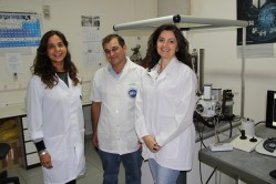 Professores Gabriela Roca, Educardo Alves e Elaine Souza