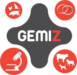 gemiz-logotipo