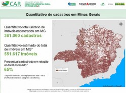 Números em Minas Gerais - sistema estadual integrado ao do governo federal facilitou a adesão e possibilitou o aumento dos registros