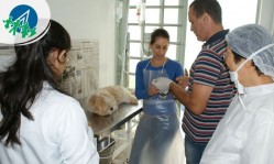 veterinario-aprendiz