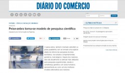 DIARIO_COMERCIO