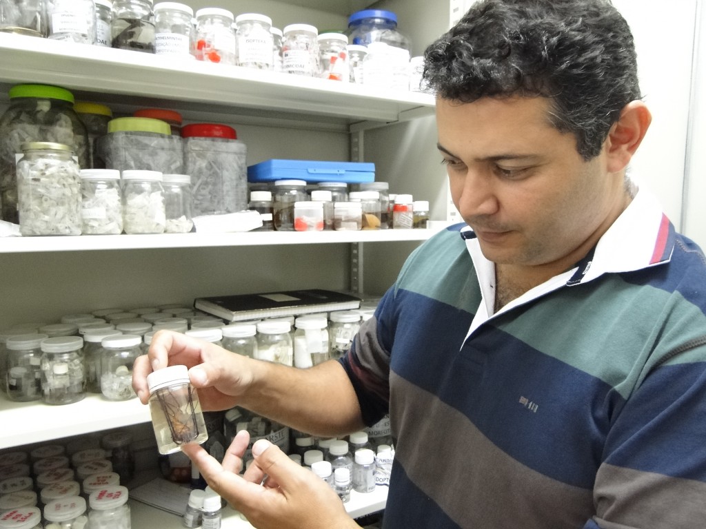 Professor da UFLA publica em revista do grupo Nature | Arquivo de ...